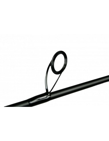 Champion XP DC683SF 6'8 Medium Fast Action