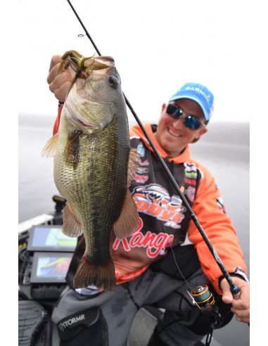 DOBYNS Champion Extreme DX784C 7'8...