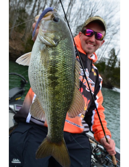 Dobyns Champion Extreme DX742SF 7'4 Medium Light Action