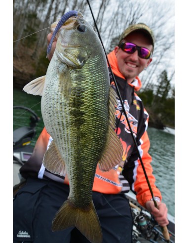 Dobyns Champion Extreme DX743SF 7'4...