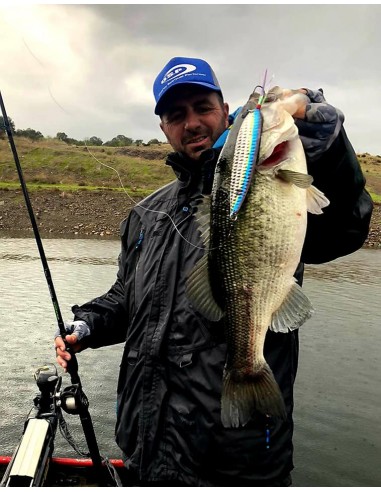 6.5" NICHOLS LURES Super Shad BEN...