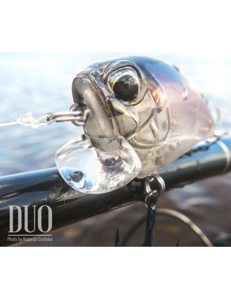 DUO REALIS FLATSIDE 54SR Komochi Wakasaghi