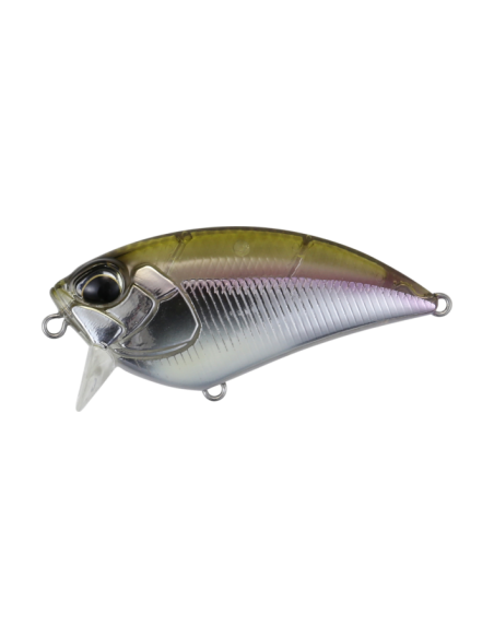 DUO REALIS FLATSIDE 54SR Komochi Wakasaghi