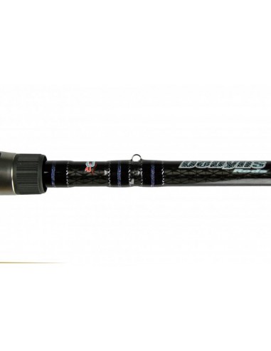 SIERRA SA 734C 7'3" Heavy Fast Action