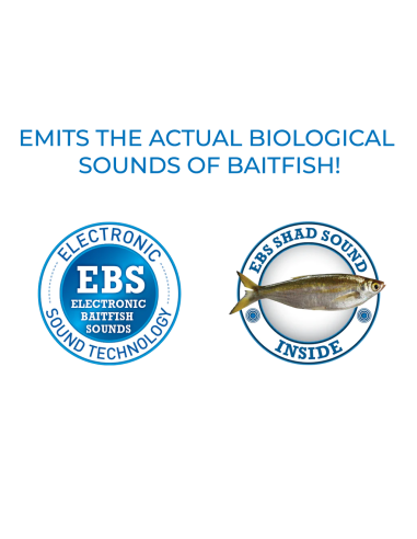 Lipless electrónico con sonido de pez... Lipless electrónico con sonido de pez...